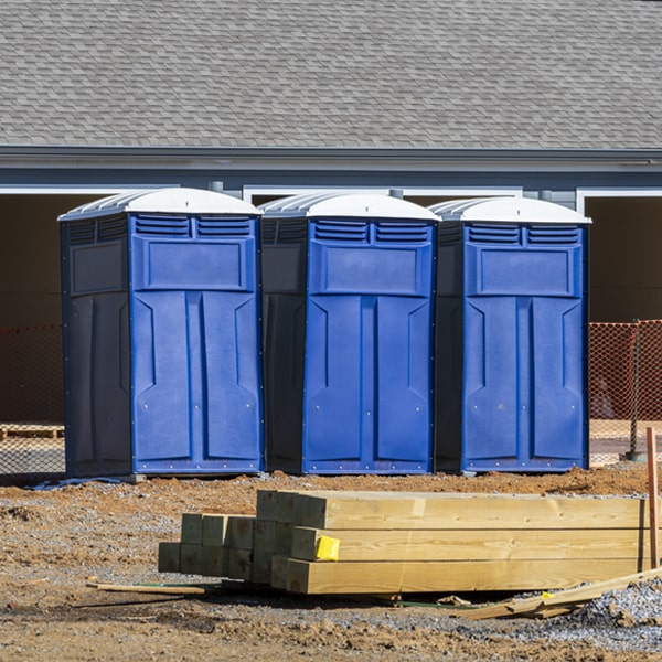 can i customize the exterior of the porta potties with my event logo or branding in Bethel Springs